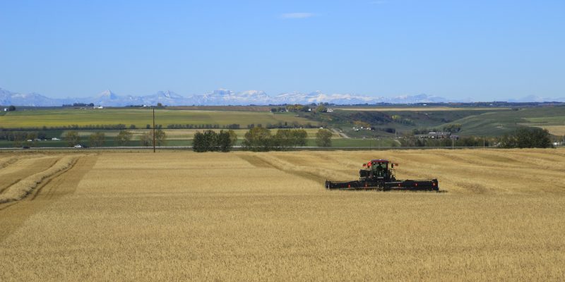 Conrad Agrar Consulting Windrower Canada Alberta