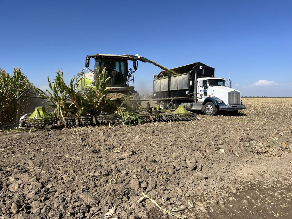 Forage Harvester Claas